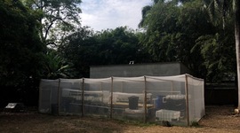 Timeline: Linea de tiempo acuaponia