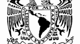 Timeline: Formas de organización política y social.