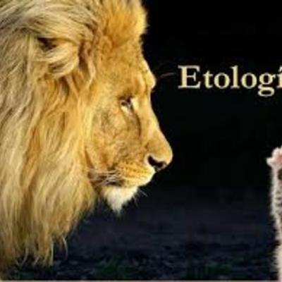 Timeline: Historia de la Etologia