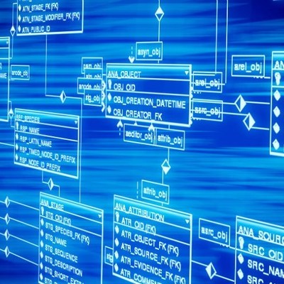 Timeline: BASES DE DATOS