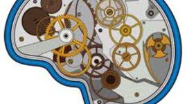 Timeline: LINEA DE TIEMPO