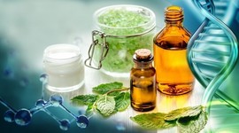 Timeline: Diferencia de  Medicinas Alternativas y terapias Complementarias