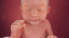 Timeline: Lenguaje en la infancia