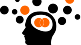 Timeline: La investigación cualitativa