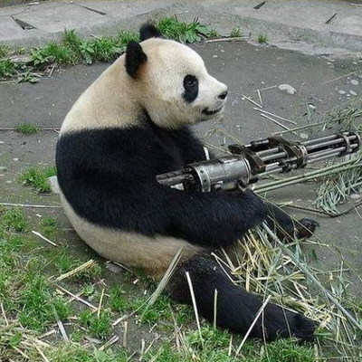 Timeline: Causes of Chinese Civil War