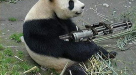 Timeline: Causes of Chinese Civil War