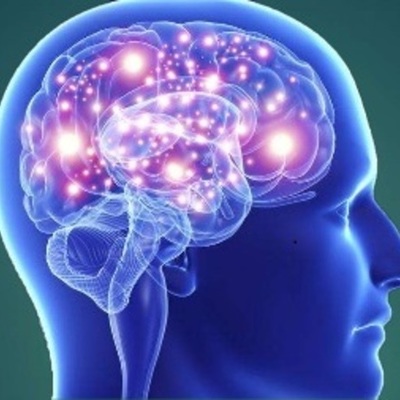 Timeline: Las Neurociencias de la Conducta. Un viaje que no se detiene.