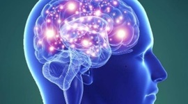 Timeline: Las Neurociencias de la Conducta. Un viaje que no se detiene.