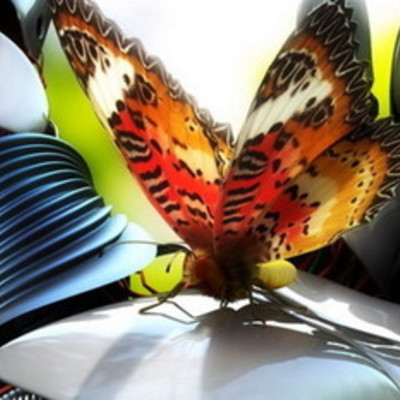 Timeline: LA ERA DE LA ROBOTICA