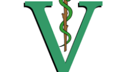 Timeline: Historia de la medicina veterinaria