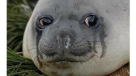 Timeline: Ethan Bowman's Life of Extreme Dullness