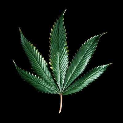 Timeline: Should Weed be Legalized?