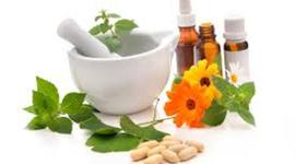 Timeline: Evolución de las Terapias Naturales