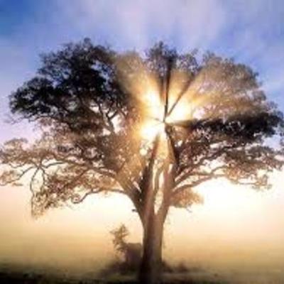 Timeline: LINEA DE TIEMPO TERAPIAS NATURALES