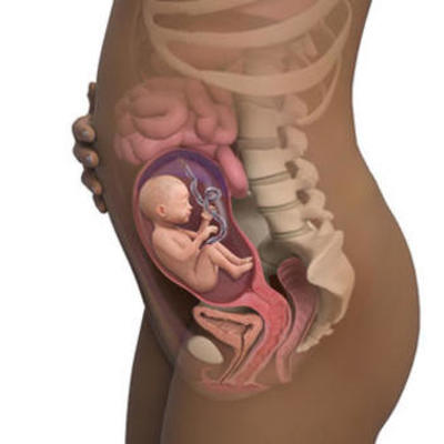 Timeline: Funciones del Lenguaje