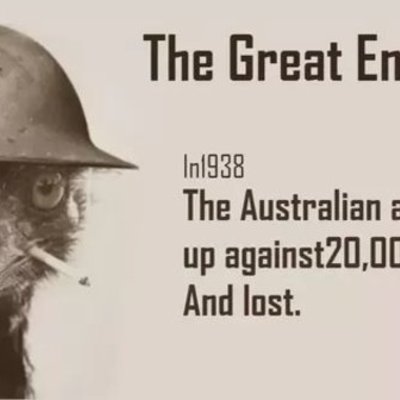 Timeline: The Great Emu War