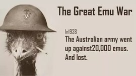 Timeline: The Great Emu War