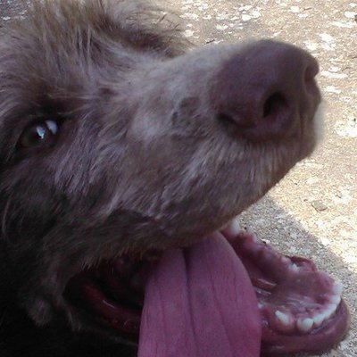 Timeline: My Personal Timeline