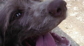 Timeline: My Personal Timeline