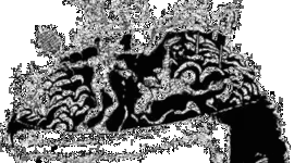 Timeline: historia de la psicología del deporte