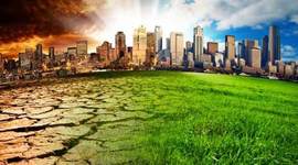 Timeline: Problemática ambiental de la producción y consumo en Colombia y el mundo