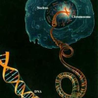 Timeline: HISTORIA DE LA BIOLOGIA