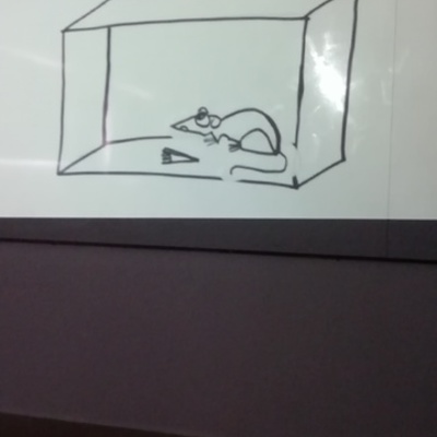 Timeline: Burrhus Frederic Skinner