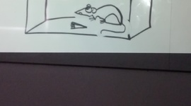 Timeline: Burrhus Frederic Skinner