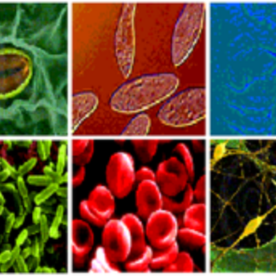 Timeline: Historia de la biologia (epoca moderna)