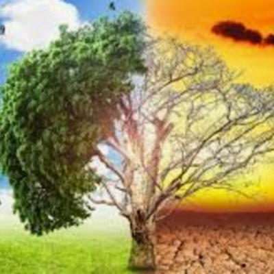 Timeline: Problemática ambiental de la producción y consumo en Colombia y el mundo