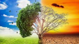 Timeline: Problemática ambiental de la producción y consumo en Colombia y el mundo