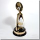 Nfl mvp trophy