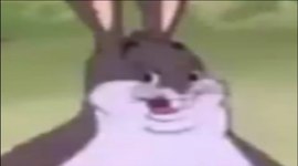 Timeline: computer language timeline