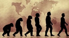 Timeline: Desarrollo de la Teoría de la Evolución
