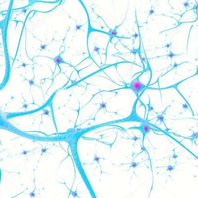 Timeline: EVOLUCIÓN DEL CEREBRO