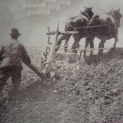 Timeline: evolucion tractor agricola