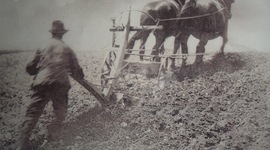 Timeline: evolucion tractor agricola