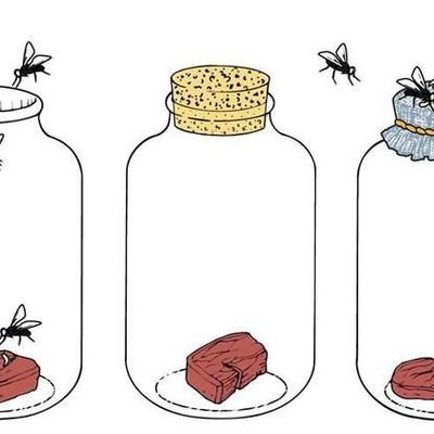 Timeline: Cronograma sobre la generación espontánea y la biogénesis