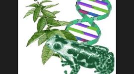 Timeline: APORTES A LA BIOLOGÍA