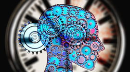 Timeline: HIstoria De La Neuropsicologia
