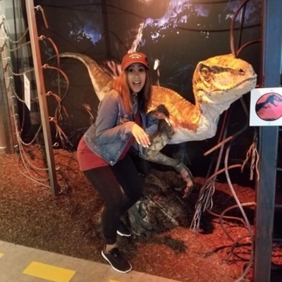 Timeline: Psychology Degree Consideration Path DM