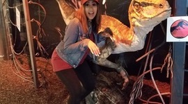 Timeline: Psychology Degree Consideration Path DM