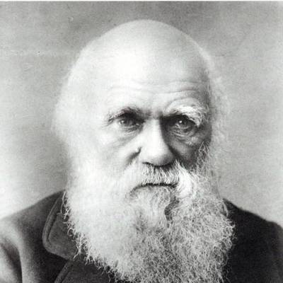 Timeline: Darwin