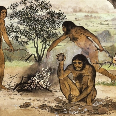 Timeline: edad de piedra