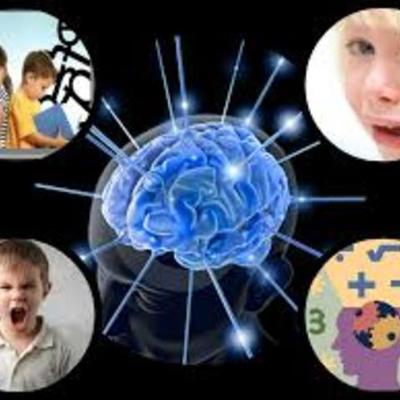 Timeline: NEUROCIENCIA DE LA CONDUCTA