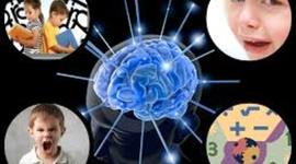 Timeline: NEUROCIENCIA DE LA CONDUCTA