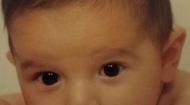 Timeline: Matthew Schnur Personal Timeline