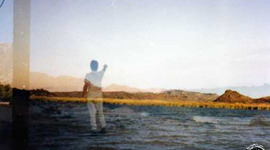 Timeline: Chapter 10 - Into The Wild