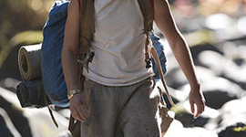 Timeline: Into The Wild