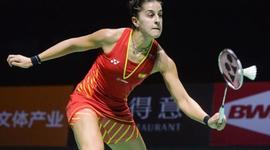 Timeline: CAROLINA MARÍN